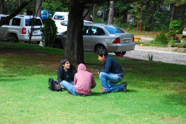 DSC_0037 (Small)